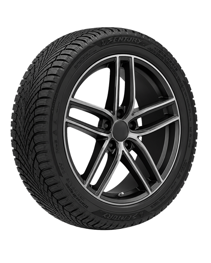 175/65R14 82T WinterDragon